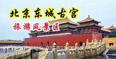 美女喜欢大黑狗操小穴中国北京-东城古宫旅游风景区